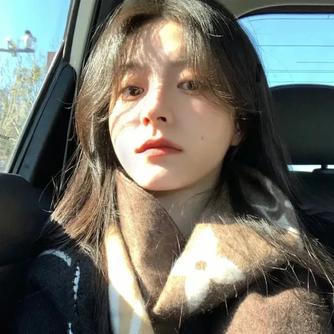 罗伯特·唐尼：自成一格